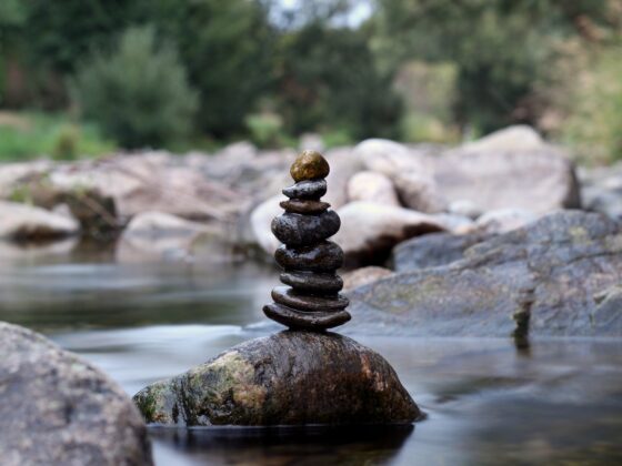 El balance: ¿aguanta una crisis?